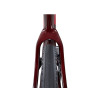 Image 6 of 10 - Dark Red Detail 1