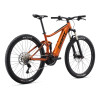 Image 2 of 2 - Amber Glow Rear Angle