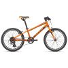 Image 2 of 5 - Orange / Black