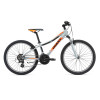 Image 1 of 1 - Gray