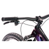 Image 8 of 10 - Chameleon Purple Detail 6