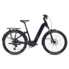 Image 12 of 13 - Black Currant - B