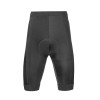 Image 2 of 2 - Podium Shorts