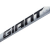 Image 6 of 6 - MY25 TCR Advanced SL-FF_Color A Opal_Brushed Chrome_5