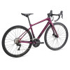 Image 2 of 2 - Chameleon Plum Angle