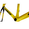 Image 6 of 7 - MY25 TCR Advanced SL-FF_Color D Legends Edition_3