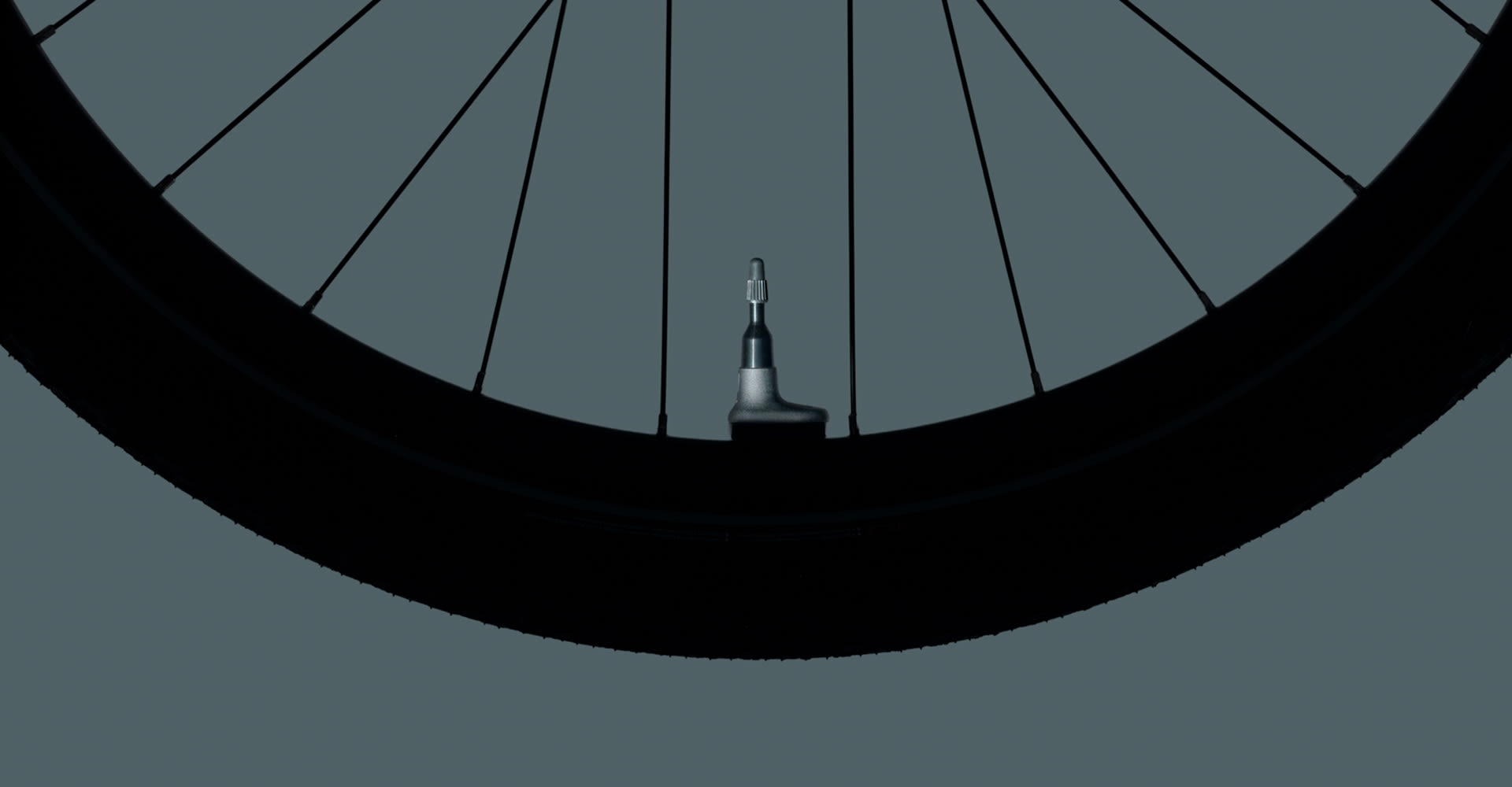 Aegis Tire Checker
