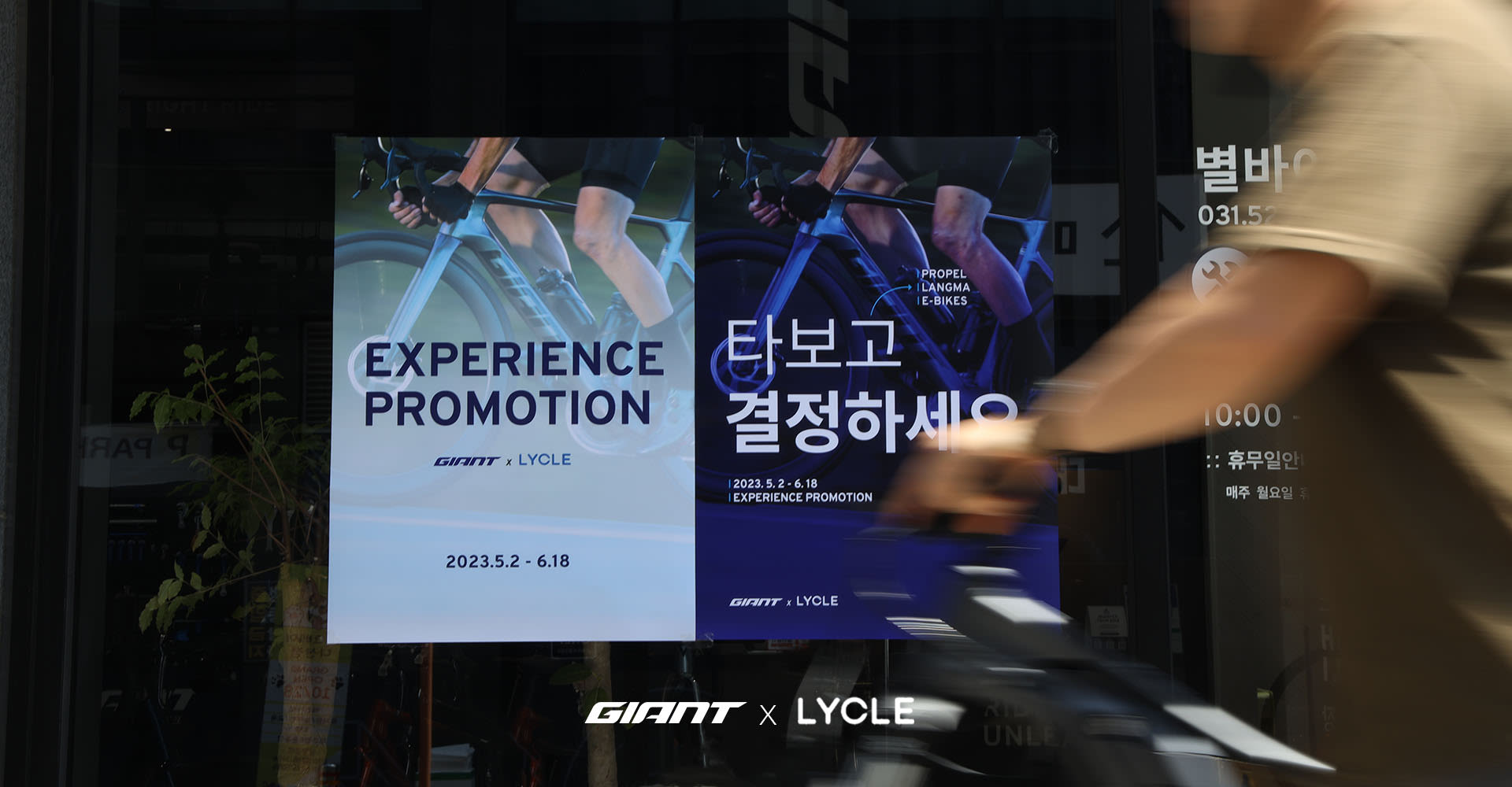 자이언트 스토어 익스피리언스 프로모션 Giant Bicycles South Korea 대한민국