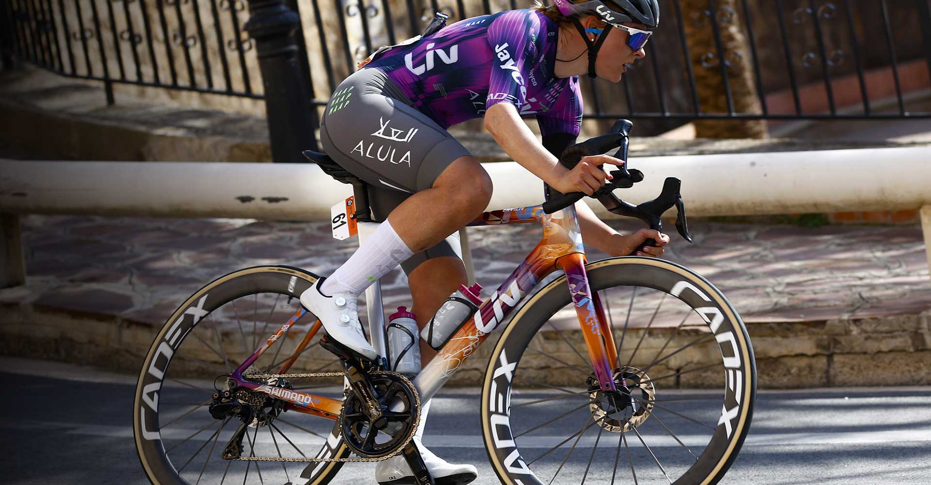 a closeup of the EnviLiv Advanced Pro bike