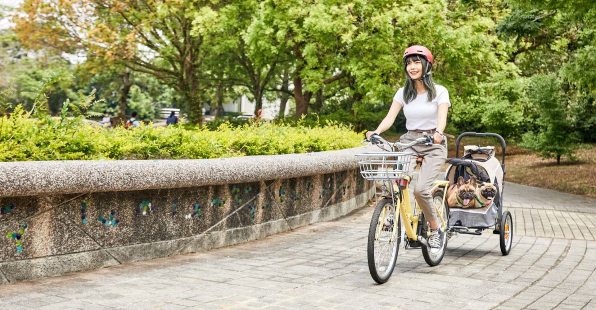 E-Bike常見問題
