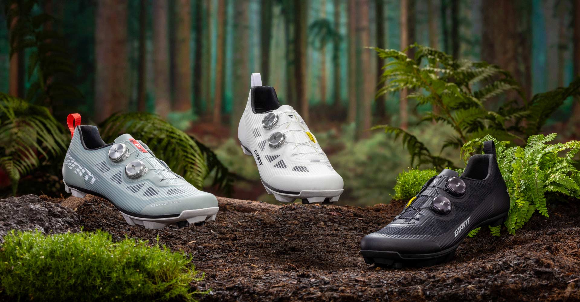 Pair of Charge Pro shoes