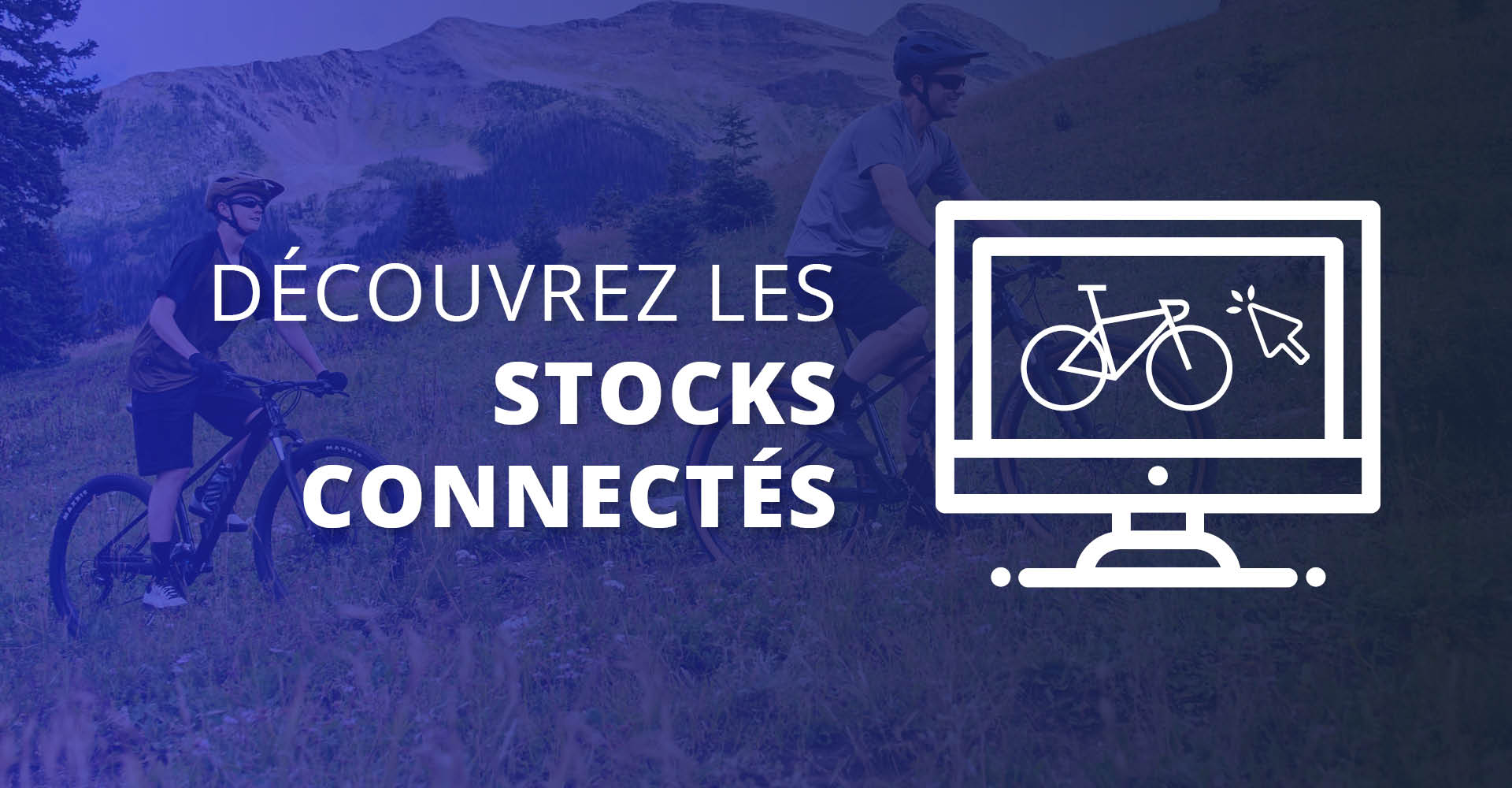 Découvrez les Stock Connectés Giant