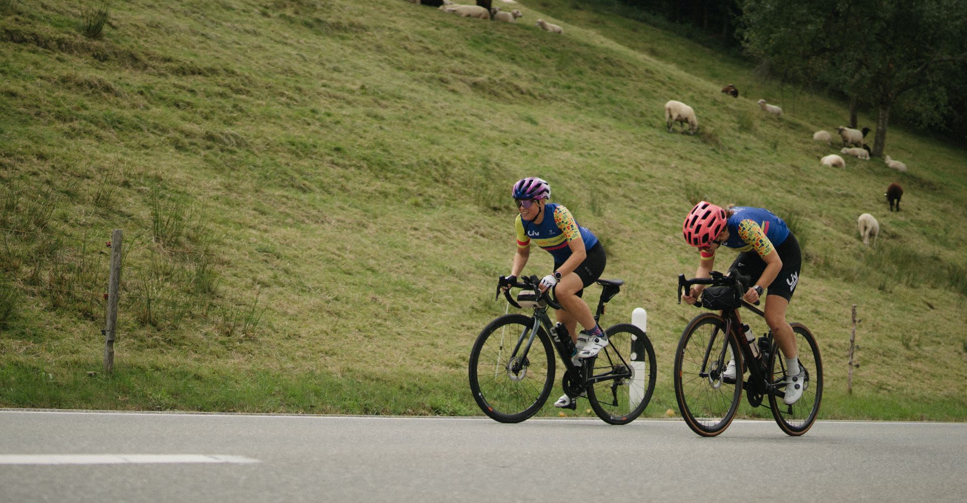 Trainingplan fr Frauen - Rennrad-Transalp | Liv Cycling DE
