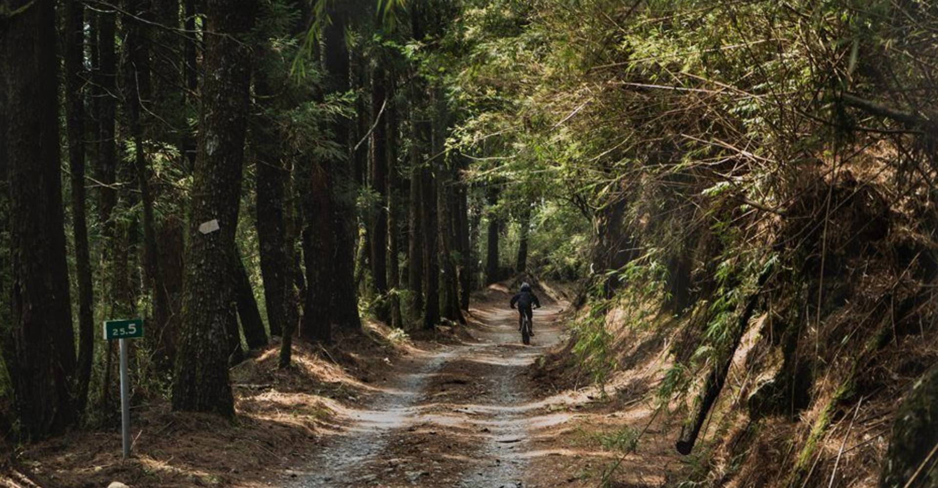 台灣林道路線大公開 | Giant Bicycles Taiwan 臺灣