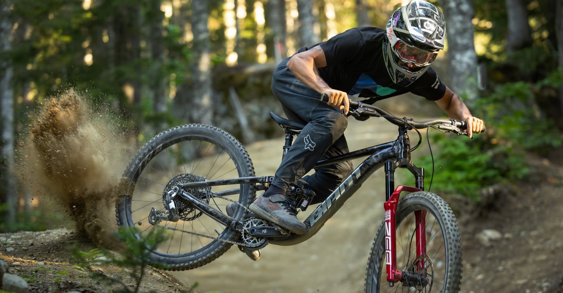 Giant Reign SE A Custom Finish for Every Bike Giant Bicycles Canada