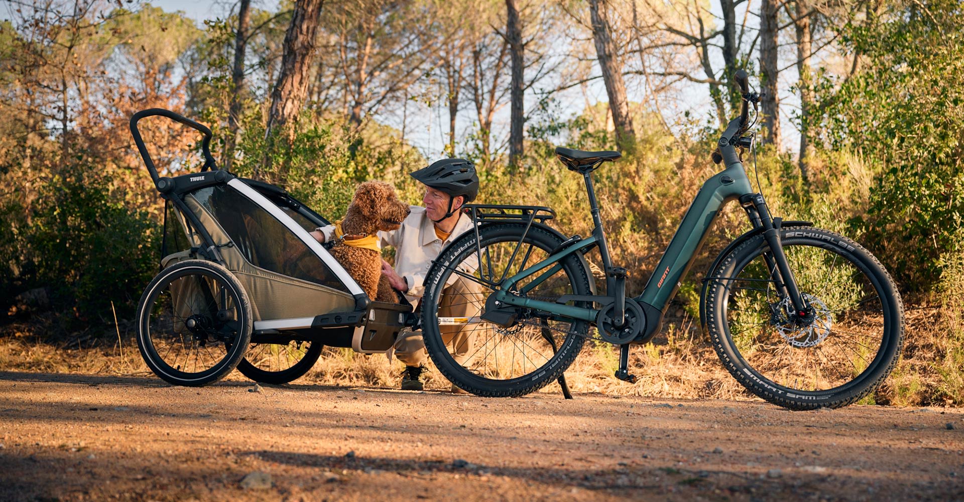 Cyclist with dog in trailer