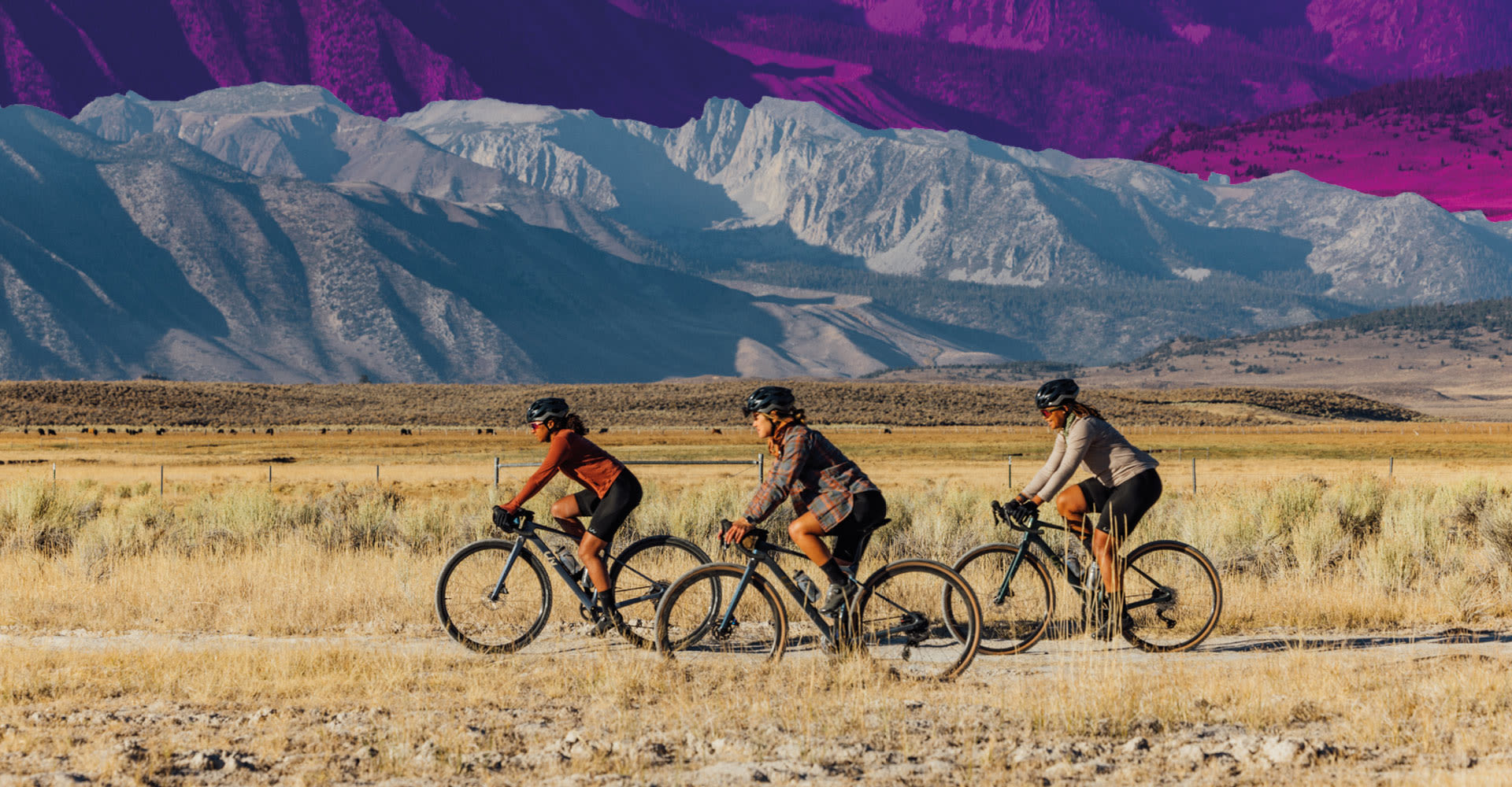 Celebrate Women. Celebrate Cycling.