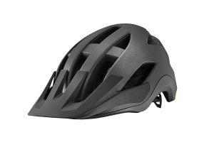 Roost Helmet