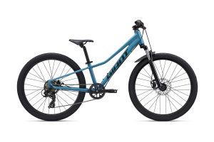 Talon 24 Disc