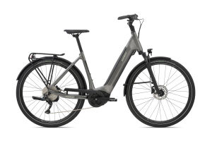 AnyTour E+ 2 Low Step Through