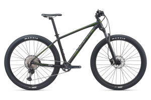 Terrago 29 1