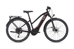 Amiti E+ 2D (RideControl Dash)