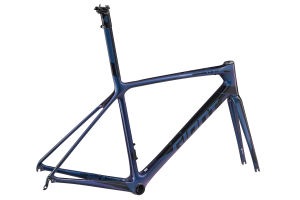 TCR Advanced SL Frameset