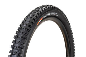 IRC Tanken TLR Bike Tire