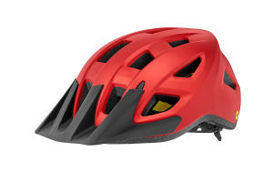 Path ARX Helmet