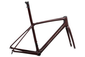 TCR Advanced SL Frameset