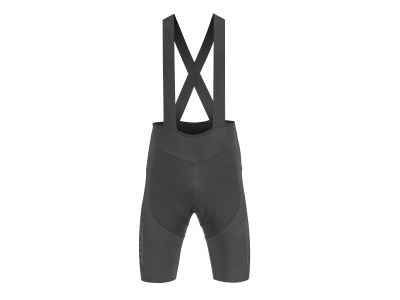 Race Day Bib Shorts (2024)