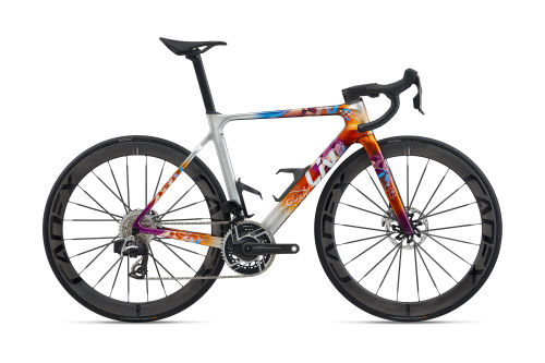 EnviLiv Advanced SL Team