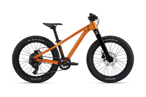 VTT  Enfant STP 20