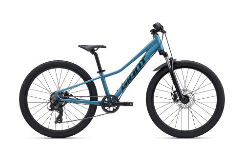 Talon 24 Disc