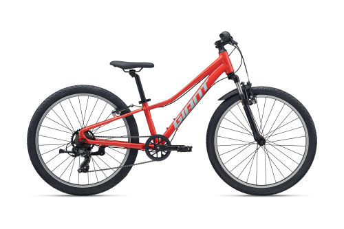 Talon 24
