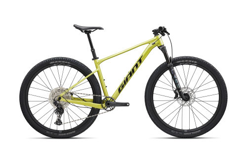 XTC SLR 29