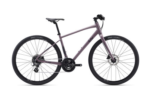 Alight DD Disc