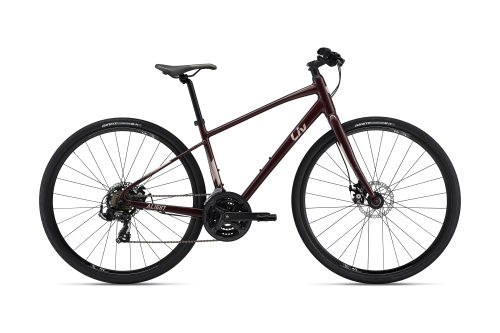 Alight DD Disc