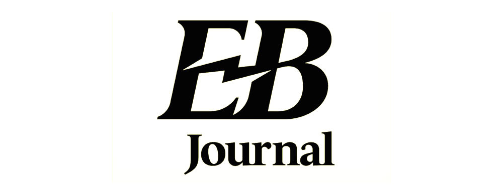vida e+ ex reviewed by electric bike journal