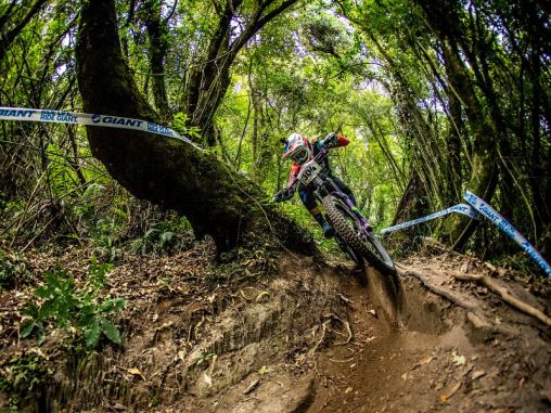 Off-Road Bikes