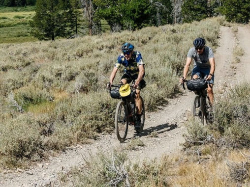 Ubezpieczenie Assistance Gratis