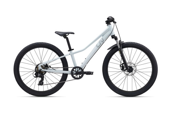 Tempt 24 Disc