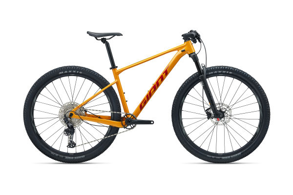 Image of XTC SLR 29 2