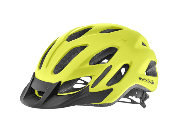 Compel ARX Helmet