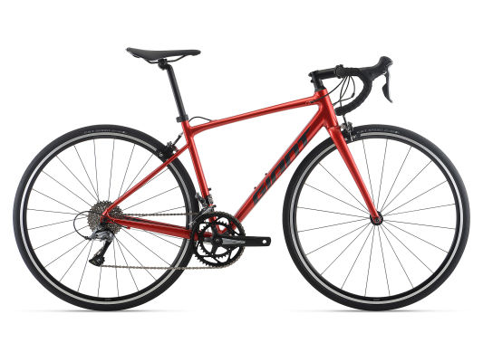 Contend 2 (2025) | All-Rounder bike | Giant Bicycles Japan 日本