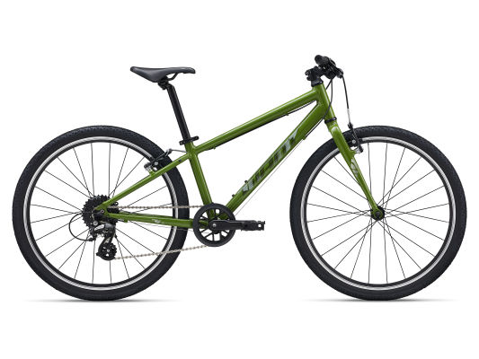 fahrrad franz ergometer Ergofit Cycle 4000 MED Wandmontage Gazelle Van Stael Retro Color:Graphite Grey