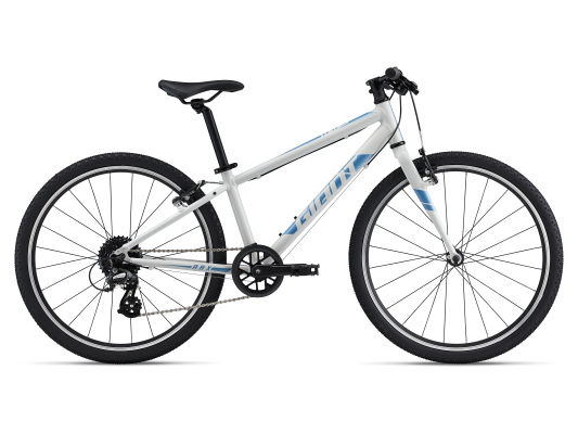 ARX 24 (2022) | Fitness bike | Giant Bicycles UK