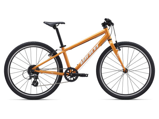 scool fahrrad 24 zoll test Kinder-MTB S'COOL Xroc pro kaufen ABUS Kettenschloss 5805C/75 pink, Category:Kinder Jugend_CFP Hafenmeister  47 559 Frame Size:54(CM)