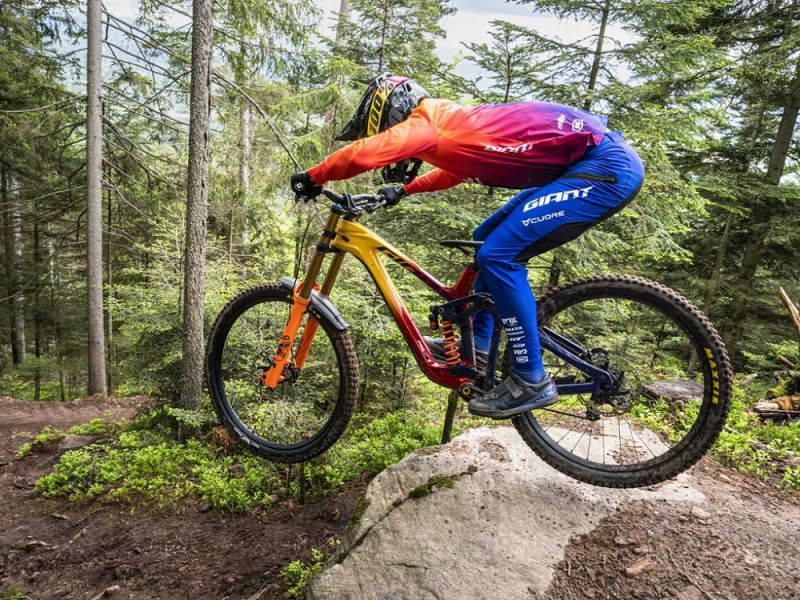 Giant Factory Off-Road Team Edition Legends