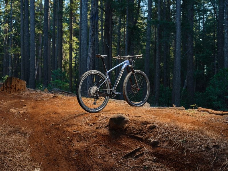 Amortisseur VTT DH